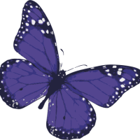 Rebel Tour Guide – song – Purple Lady Poetry